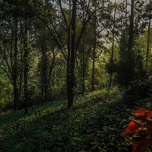 5* Resort Southern Panorama Indriya &
